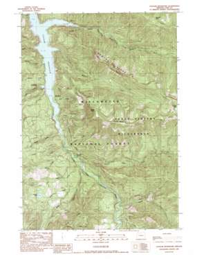 Cougar Reservoir topo map