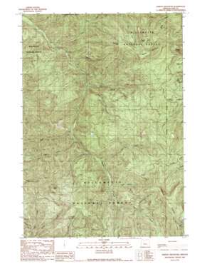 Harvey Mountain topo map