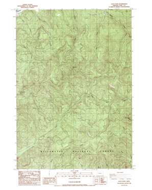 Leaburg USGS topographic map 44122a5
