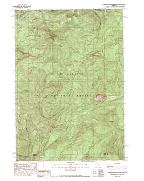 Carpenter Mountain topo map