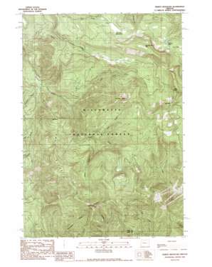 Tidbits Mountain USGS topographic map 44122c3
