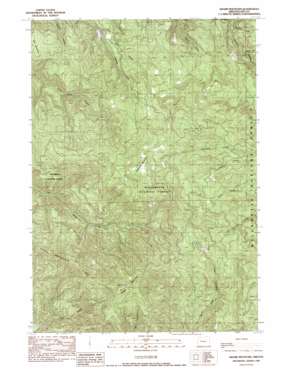 Swamp Mountain topo map