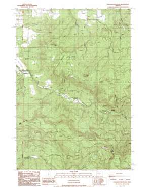 Chandler Mountain USGS topographic map 44122c6
