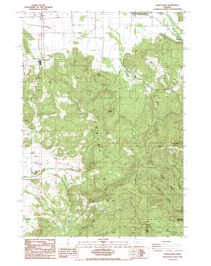 Union Point USGS topographic map 44122c8