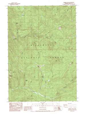Chimney Peak USGS topographic map 44122e2