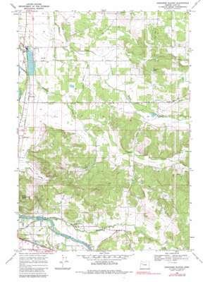 Onehorse Slough USGS topographic map 44122e7