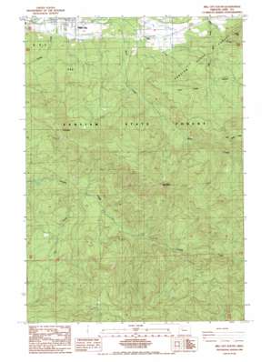 Mill City South topo map