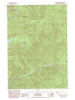 Mother Lode Mountain USGS topographic map 44122g1