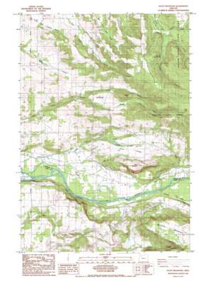 Stout Mountain USGS topographic map 44122g6