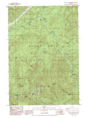 Bull Of The Woods topo map