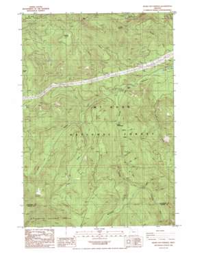 Bagby Hot Springs USGS topographic map 44122h2