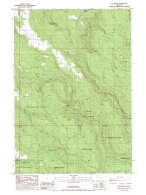 Wilhoit USGS topographic map 44122h5
