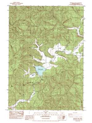 Triangle Lake USGS topographic map 44123b5