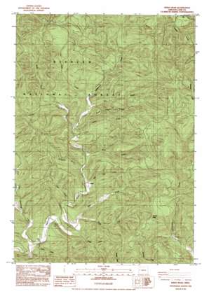 Windy Peak USGS topographic map 44123b6