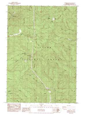 Cummins Peak USGS topographic map 44123b8