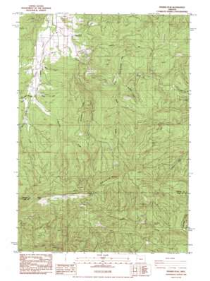 Prairie Peak topo map