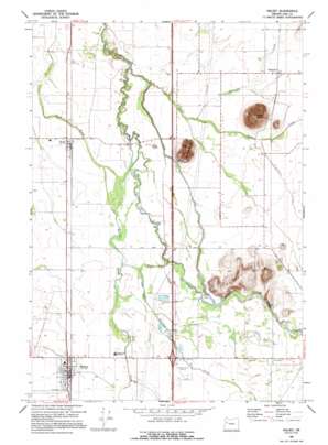 Halsey USGS topographic map 44123d1