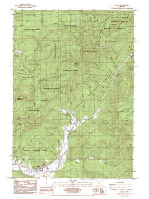 Alsea USGS topographic map 44123d5