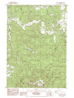 Marys Peak USGS topographic map 44123e5