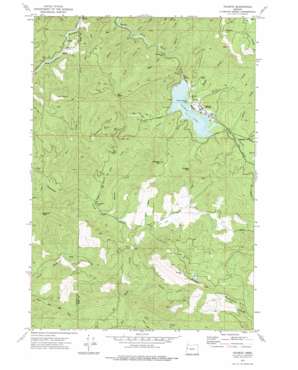Valsetz USGS topographic map 44123g6