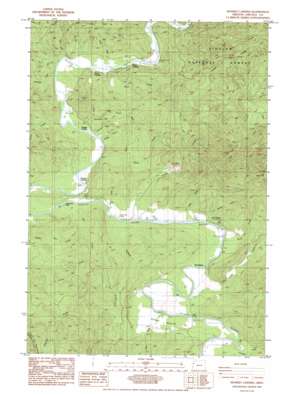 Mowrey Landing USGS topographic map 44123g8