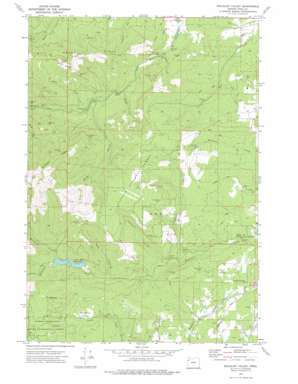 Socialist Valley USGS topographic map 44123h4