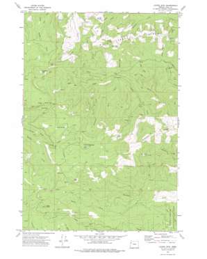 Laurel Mountain USGS topographic map 44123h5