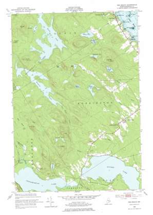 Red Beach USGS topographic map 45067a2