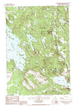 Meddybemps Lake East USGS topographic map 45067a3