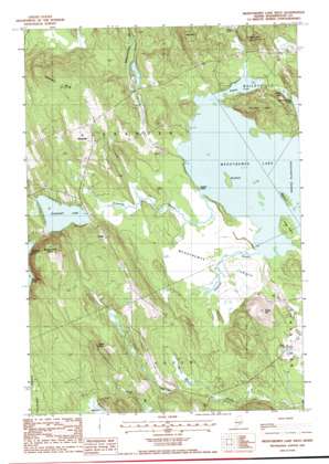 Meddybemps Lake West USGS topographic map 45067a4