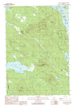 Fletcher Peak USGS topographic map 45067a8