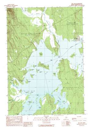 Big Lake USGS topographic map 45067b6