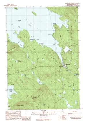 Grand Lake Stream USGS topographic map 45067b7