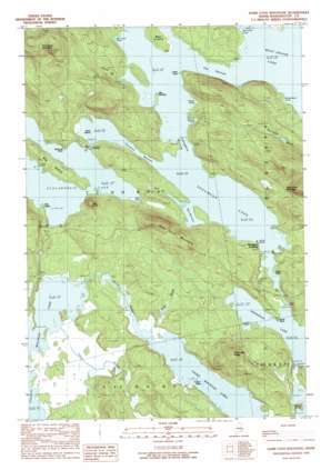 Duck Lake USGS topographic map 45067b8