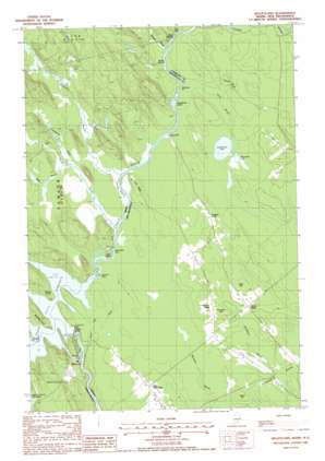 Kelleyland USGS topographic map 45067c4