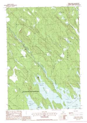 Toman Ridge USGS topographic map 45067c5