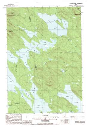 Scraggly Lake USGS topographic map 45067c8