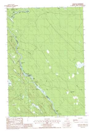 Loon Bay USGS topographic map 45067d4