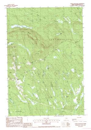 Tomah Mountain USGS topographic map 45067d6