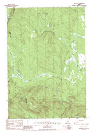 Dill Hill USGS topographic map 45067d8