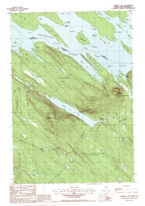 Lambert Lake USGS topographic map 45067e5