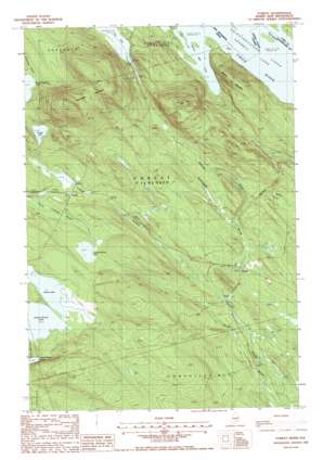 Forest topo map