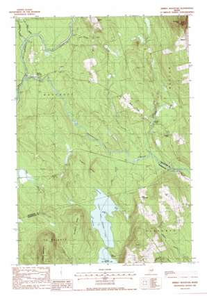 Jimmey Mountain USGS topographic map 45067f8