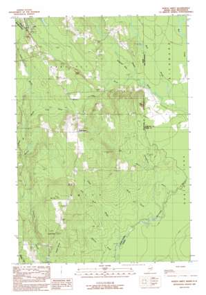 North Amity USGS topographic map 45067h7
