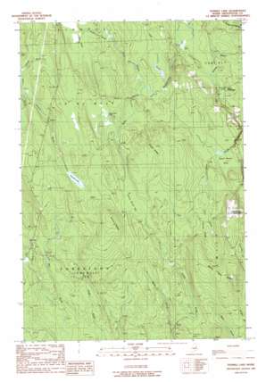 Ten Mile Lake USGS topographic map 45067h8
