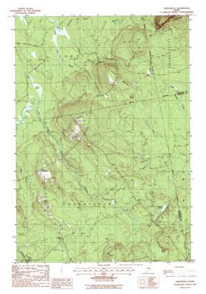 Olamon USGS topographic map 45068a4