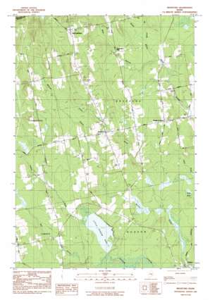 Bradford USGS topographic map 45068a8