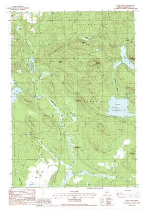 Weir Pond USGS topographic map 45068c2