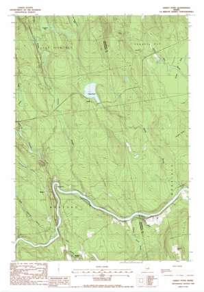 Hardy Pond USGS topographic map 45068c7