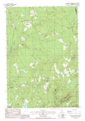 Bowers Mountain USGS topographic map 45068d1
